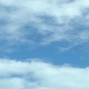 Meet your Posher, Gabriela